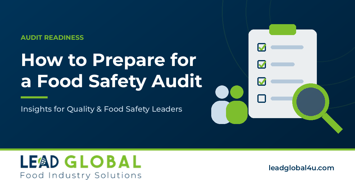 Illustration of an auditor and a quality lead with a food safety records checklist and magnifying glass, for a guide to preparing for a GFSI food safety audit